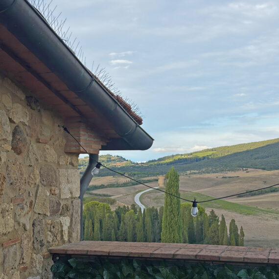 podere novo bibbona appartamento dante 14