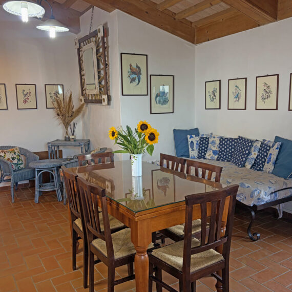 podere novo bibbona appartamento dante 16